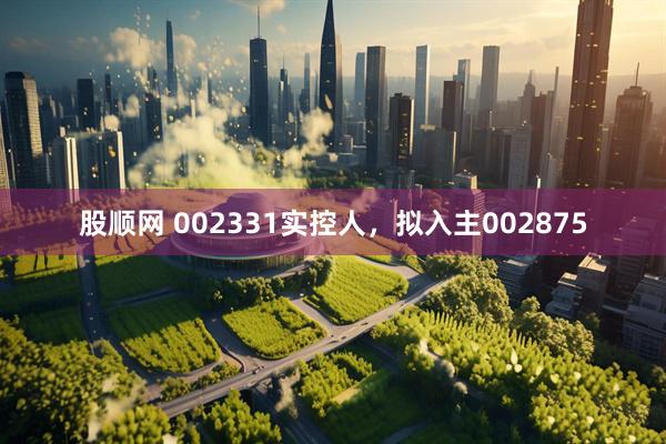 股顺网 002331实控人，拟入主002875