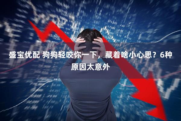 盛宝优配 狗狗轻咬你一下，藏着啥小心思？6种原因太意外