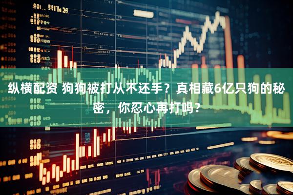 纵横配资 狗狗被打从不还手？真相藏6亿只狗的秘密，你忍心再打吗？