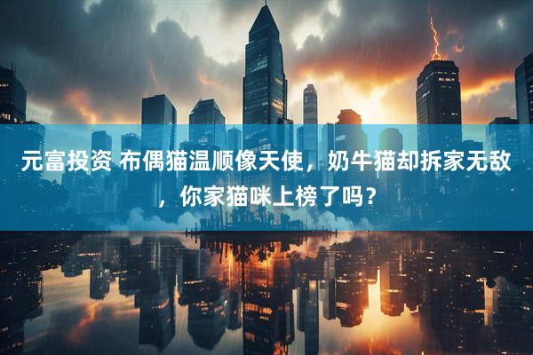 元富投资 布偶猫温顺像天使，奶牛猫却拆家无敌，你家猫咪上榜了吗？