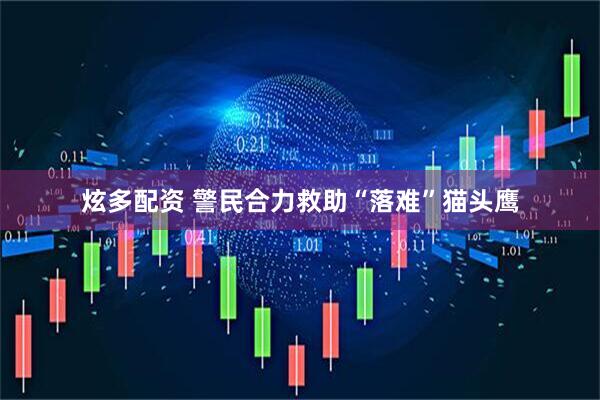 炫多配资 警民合力救助“落难”猫头鹰