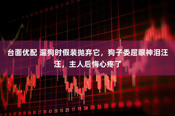 台面优配 遛狗时假装抛弃它，狗子委屈眼神泪汪汪，主人后悔心疼了