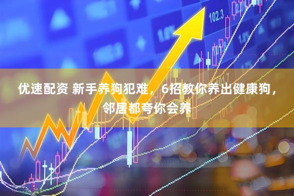 优速配资 新手养狗犯难，6招教你养出健康狗，邻居都夸你会养