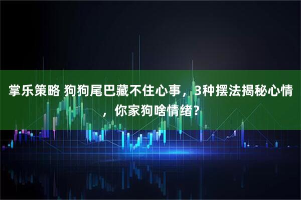 掌乐策略 狗狗尾巴藏不住心事，3种摆法揭秘心情，你家狗啥情绪？