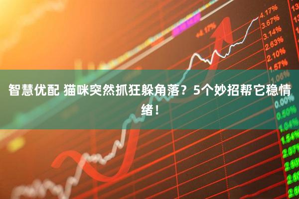 智慧优配 猫咪突然抓狂躲角落？5个妙招帮它稳情绪！