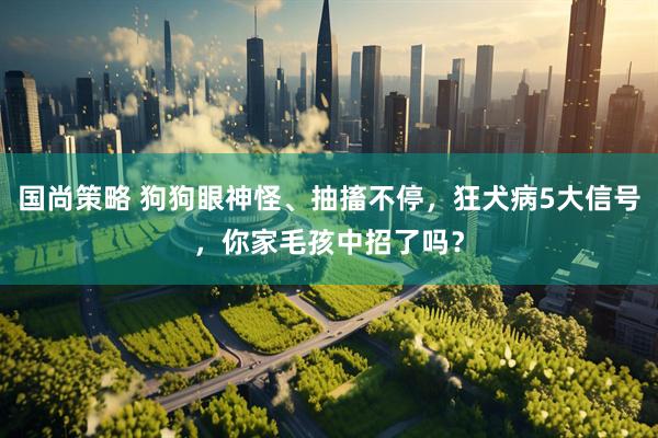 国尚策略 狗狗眼神怪、抽搐不停，狂犬病5大信号，你家毛孩中招了吗？