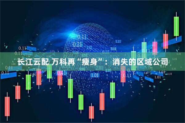 长江云配 万科再“瘦身”：消失的区域公司