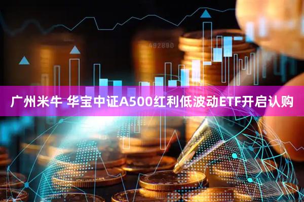 广州米牛 华宝中证A500红利低波动ETF开启认购
