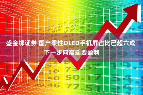 盛金缘证券 国产柔性OLED手机屏占比已超六成 下一步向高端要盈利
