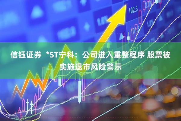 信钰证券  *ST宁科：公司进入重整程序 股票被实施退市风险警示