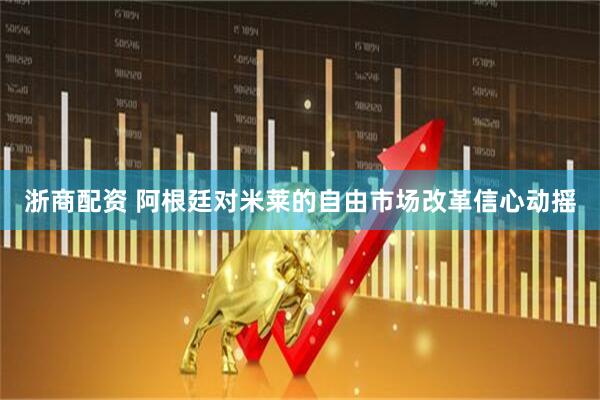 浙商配资 阿根廷对米莱的自由市场改革信心动摇
