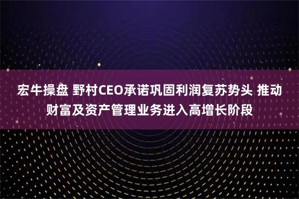 宏牛操盘 野村CEO承诺巩固利润复苏势头 推动财富及资产管理业务进入高增长阶段