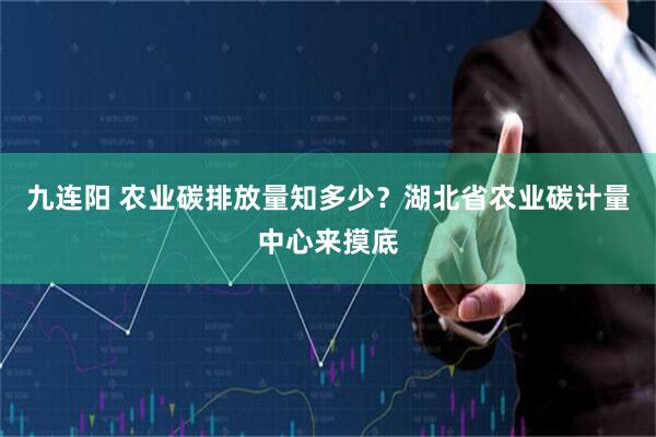 九连阳 农业碳排放量知多少？湖北省农业碳计量中心来摸底