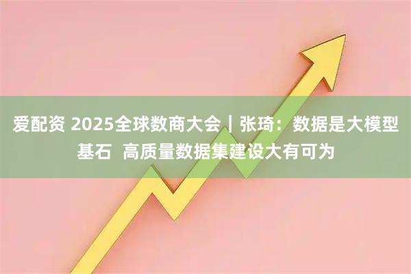 爱配资 2025全球数商大会｜张琦：数据是大模型基石  高质量数据集建设大有可为